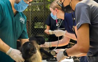 Guatemala-conservation-mission1