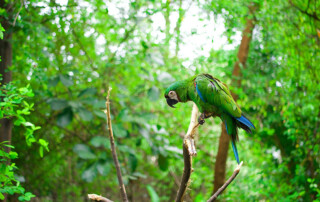 ecuador-mission-1