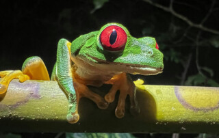 ecuador-mission-2