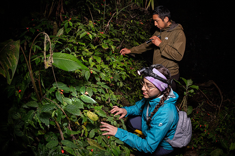 ecuador-mission-trip