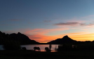 horse-riding-conservation-1