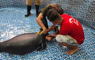 peru-wildlife-conservation1